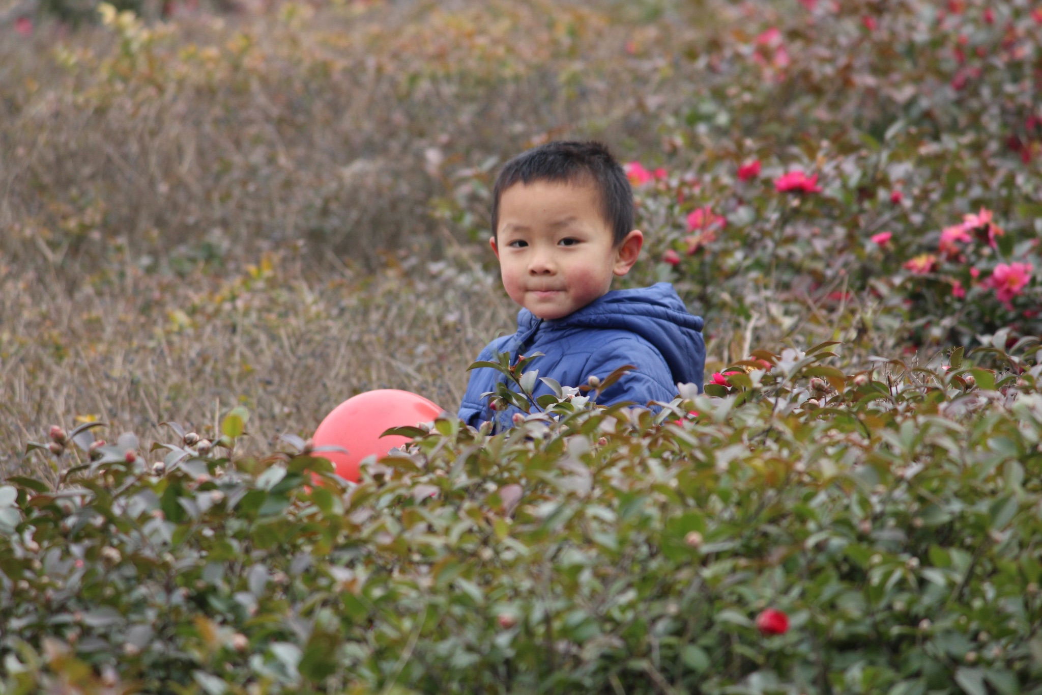 67cf33f56830b64ca9fecbcdc05ac82a